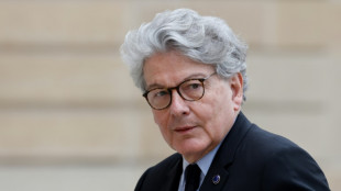 EU und Google f&uuml;r "freiwillige" Regelungen bei KI-Entwicklung