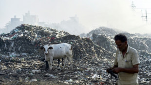 ONU pide "voz unida" de Latinoam&eacute;rica en negociaciones de tratado sobre pl&aacute;sticos