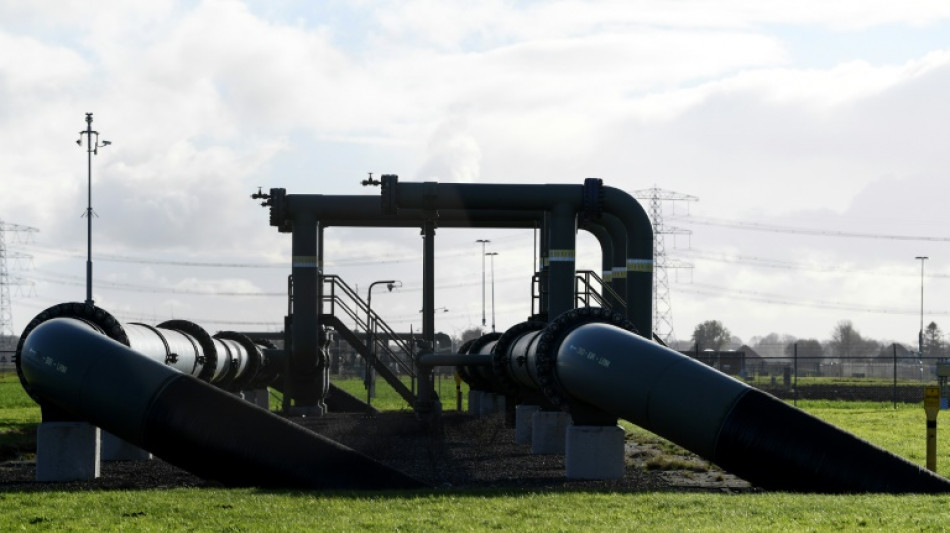 Ukraine: l'UE pr&eacute;pare des achats en commun de gaz pour s'affranchir de Moscou