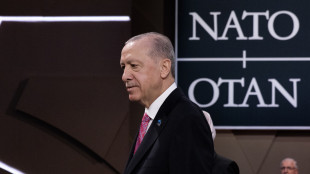 Erdogan, 'Israele non pu&ograve; collaborare con la Nato'