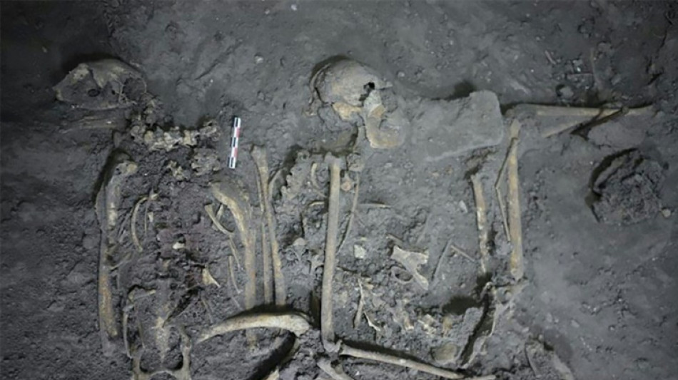 Antiguos mayas regalaban a sus vecinos un mono ara&ntilde;a para estrechar lazos