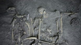 Un singe-araign&eacute;e, offrande des Mayas &agrave; des voisins de l'&egrave;re pr&eacute;colombienne