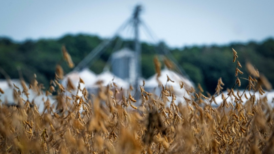 US farmers hit by trade war to get 'substantial' aid: Treasury chief