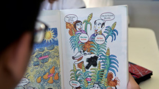 Elections au Paraguay: la langue guaranie &agrave; la fois ciment et trompe-l'&oelig;il