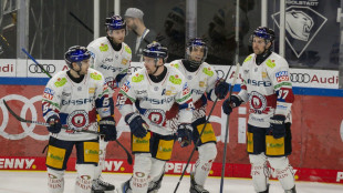 DEL: Eisb&auml;ren gewinnen Spitzenspiel in Ingolstadt