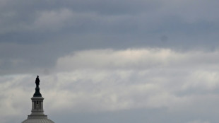 Sprint au Congr&egrave;s am&eacute;ricain pour adopter le budget avant minuit