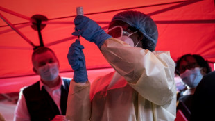 Ebola: la gu&eacute;rison d'un singe gr&acirc;ce &agrave; un traitement suscite des espoirs (&eacute;tude)