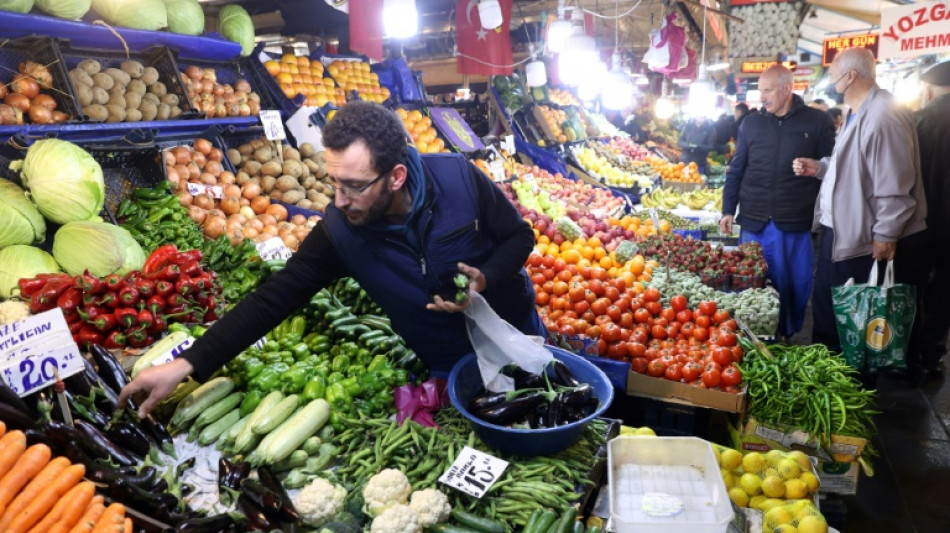 Turquie: l'inflation fr&ocirc;le les 70%, caillou dans la chaussure d'Erdogan