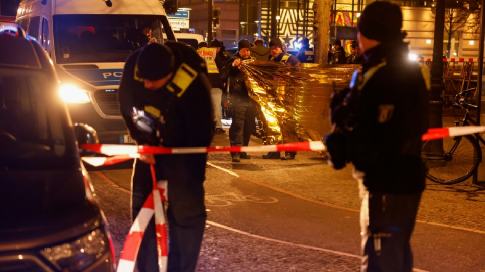 Vornamensliste von Tatverd&auml;chtigen: Berliner Verfassungsgericht gibt AfD recht