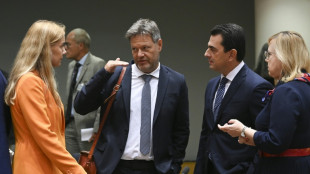 EU-Energieminister bef&uuml;rworten Gewinn-Deckel f&uuml;r Stromerzeuger