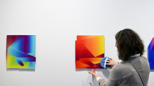 A Paris Photo, l'IA repousse les fronti&egrave;res de l'image