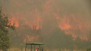 Spain logs third-warmest year on record in 2025