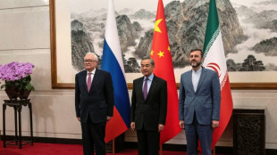 Ir&atilde; confirma sua 'determina&ccedil;&atilde;o' em cooperar com a AIEA em quest&otilde;es nucleares