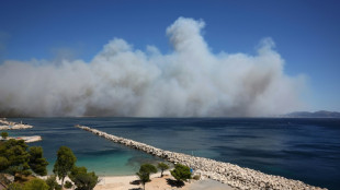 Incendio en Francia obliga a una parte de la poblaci&oacute;n de Marsella a confinarse