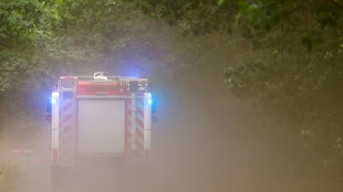Feuerwehr k&auml;mpft weiter gegen Waldbr&auml;nde in Sachsen und Brandenburg