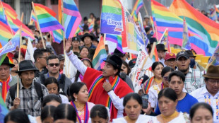 A luta ind&iacute;gena, um desafio para o futuro presidente do Equador