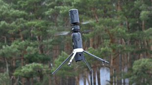 AI-powered drones track down fires in German forests