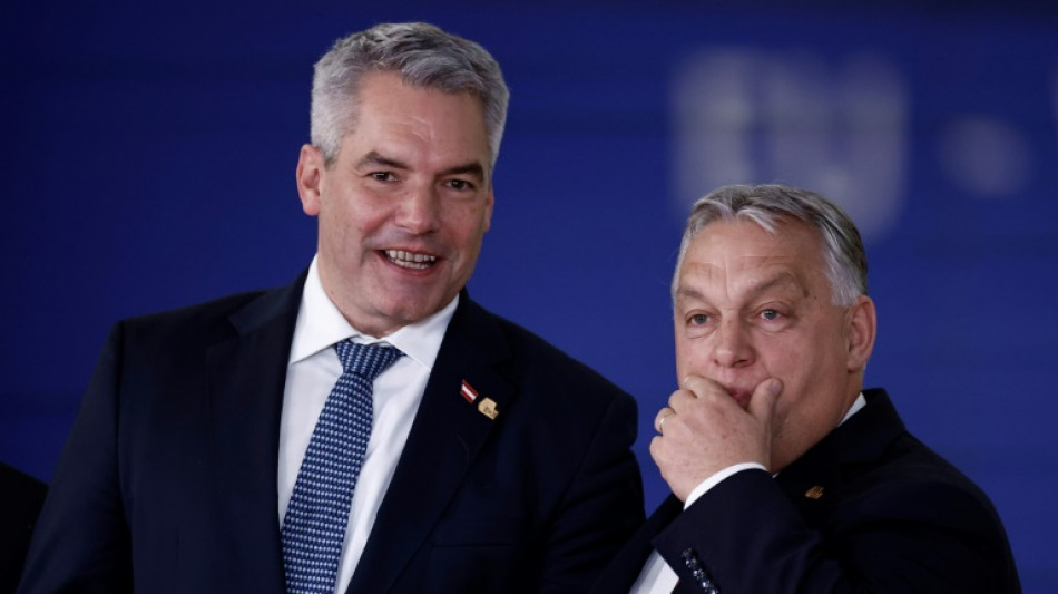 Zelensky pressiona a UE por negocia&ccedil;&otilde;es de ades&atilde;o, ante oposi&ccedil;&atilde;o da Hungria