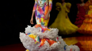 Gericht: Flamenco-Unterricht ist keine k&uuml;nstlerische T&auml;tigkeit