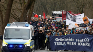 Allemagne: Manifestation contre le projet de Tesla d'agrandir son usine de voitures &eacute;lectriques 