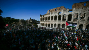 Hundreds of thousands turn out at pro-Palestinian marches in Europe