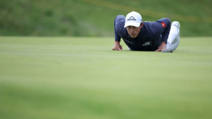 Fitzpatrick happy for 'Tiger-like' Scheffler to assume British Open pressure