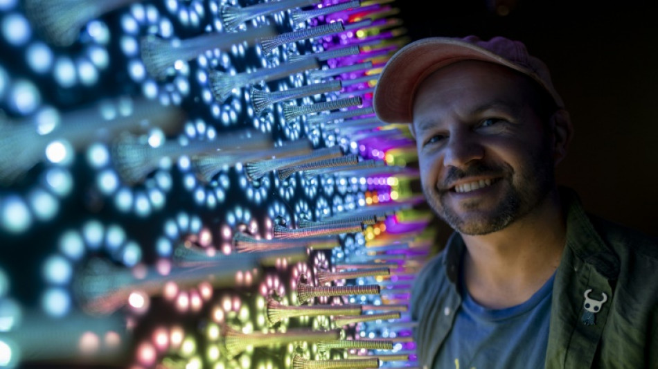 Art et technologie se donnent rendez-vous pour une exposition &agrave; Rio