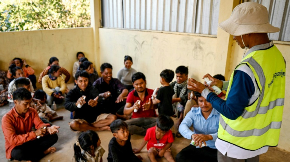 La OMS alerta sobre un aumento del número de muertes y casos de malaria