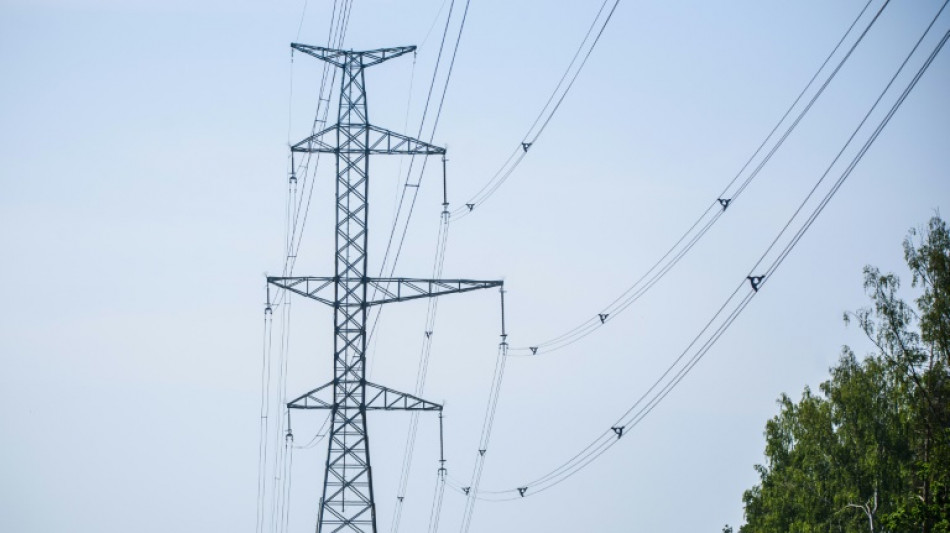 EU begr&uuml;&szlig;t Balten-Abkopplung von Russlands Stromnetz 