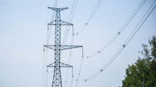 EU begr&uuml;&szlig;t Balten-Abkopplung von Russlands Stromnetz 