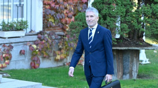 Diez detenidos en los disturbios antinmigrantes en el sureste de Espa&ntilde;a