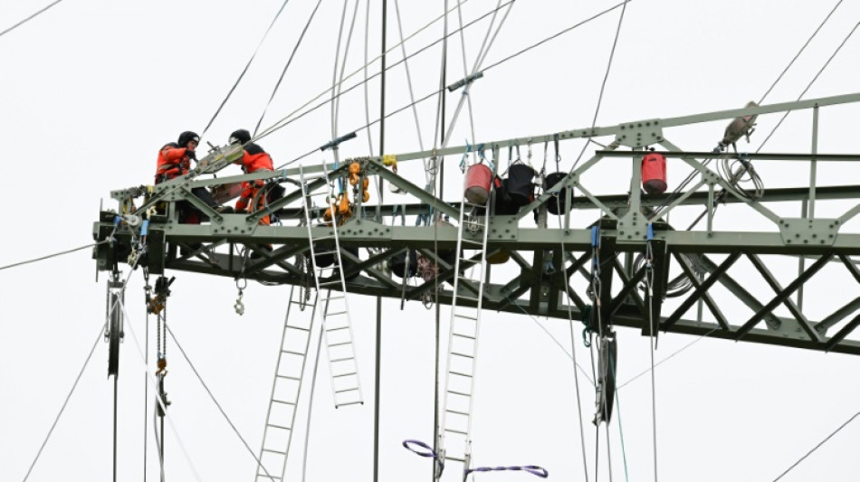 Allemagne: le taux de ch&ocirc;mage stable en mars, r&eacute;siste &agrave; l'atonie &eacute;conomique
