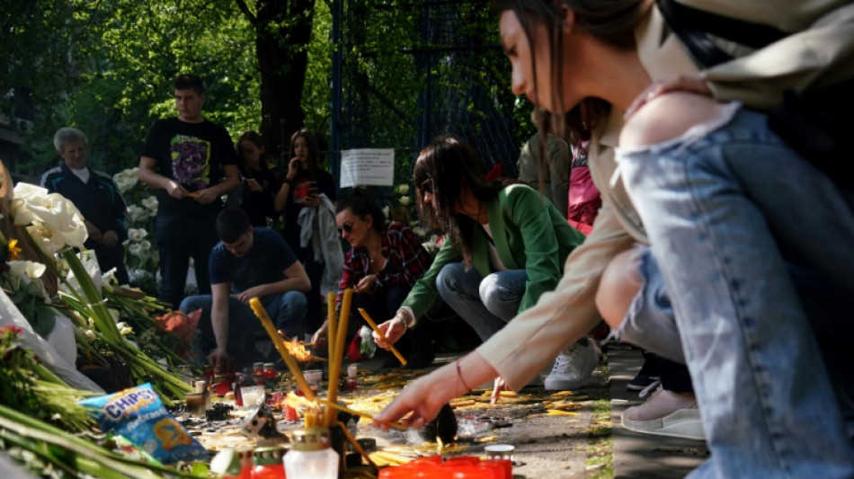 Belgrad plant "fast vollst&auml;ndige Entwaffnung" von Privatpersonen
