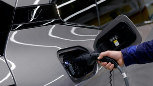 Batteries &eacute;lectriques: la Cour des comptes de l'UE s'alarme des risques sur la production