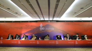 Les grands argentiers du G20 enjoints de s'unir face aux crises alimentaire et &eacute;nerg&eacute;tique 