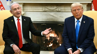 Weltweite Emp&ouml;rung &uuml;ber Trump-Plan zur &Uuml;bernahme des Gazastreifens