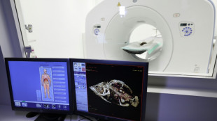 Cinq momies &eacute;gyptiennes d'animaux r&eacute;v&egrave;lent leurs secrets au scanner