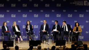 Europ&eacute;ennes: les sept principales t&ecirc;tes de liste en grand oral au Medef