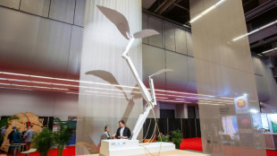 Une plante robot pour d&eacute;crypter la COP15 sur la biodiversit&eacute;