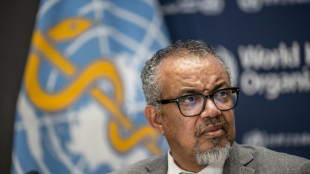 "C'est maintenant ou jamais" pour conclure un accord sur les pand&eacute;mies, selon le chef de l'OMS