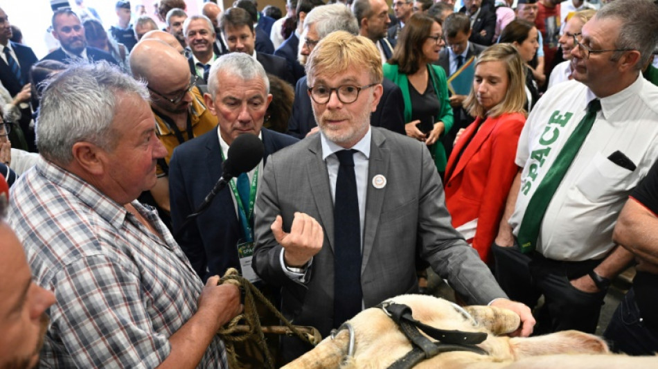 Elevage: la revanche du mod&egrave;le intensif