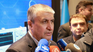 Nucl&eacute;aire: l'Iran confirme un renforcement des inspections de l'AIEA