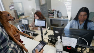 El Salvador ha ganado USD 443 millones por alza del bitc&oacute;in desde 2021