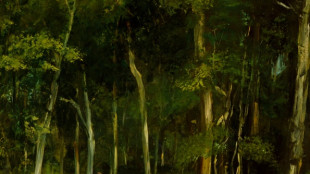 Un museo de Cambridge devolver&aacute; un cuadro expoliado por los nazis en Par&iacute;s