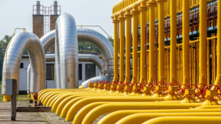 Gaspreis deutlich gesunken &ndash; Lockerung von Speichervorgaben in Sicht