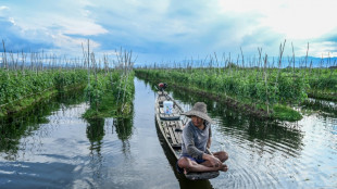 Birmanie: r&eacute;servoir de biodiversit&eacute;, le lac Inle envahi par les potagers flottants