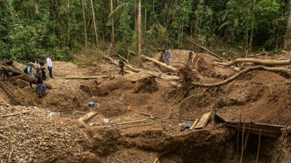 Desmantelan red de miner&iacute;a ilegal del Clan del Golfo en selva paname&ntilde;a