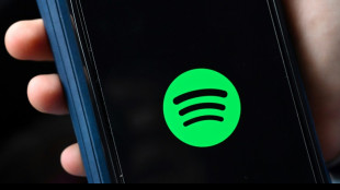 Turkey opens Spotify probe after 'provocative playlist' complaint