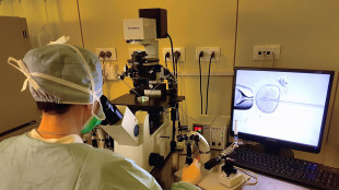 Procreazione assistita, Corte decider&agrave; su accesso a donne single