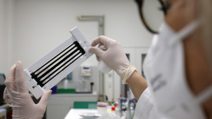 Ottenuto il pi&ugrave; grande 'remix' del genoma umano